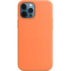    iPhone 12 Pro Max  Silicone Case
